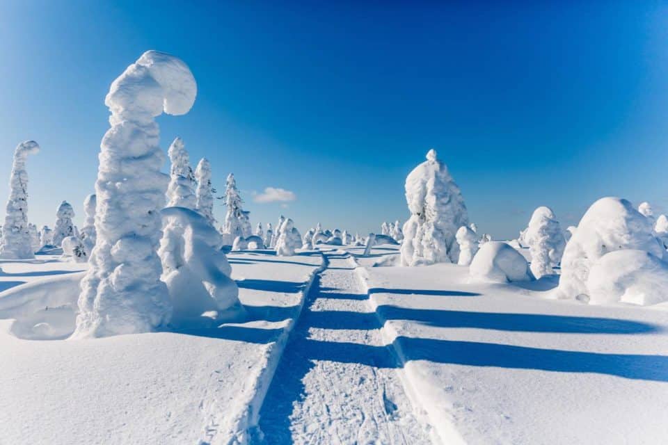 winter landscape finland lapland
