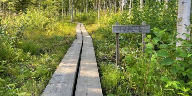 hakotie nature trail