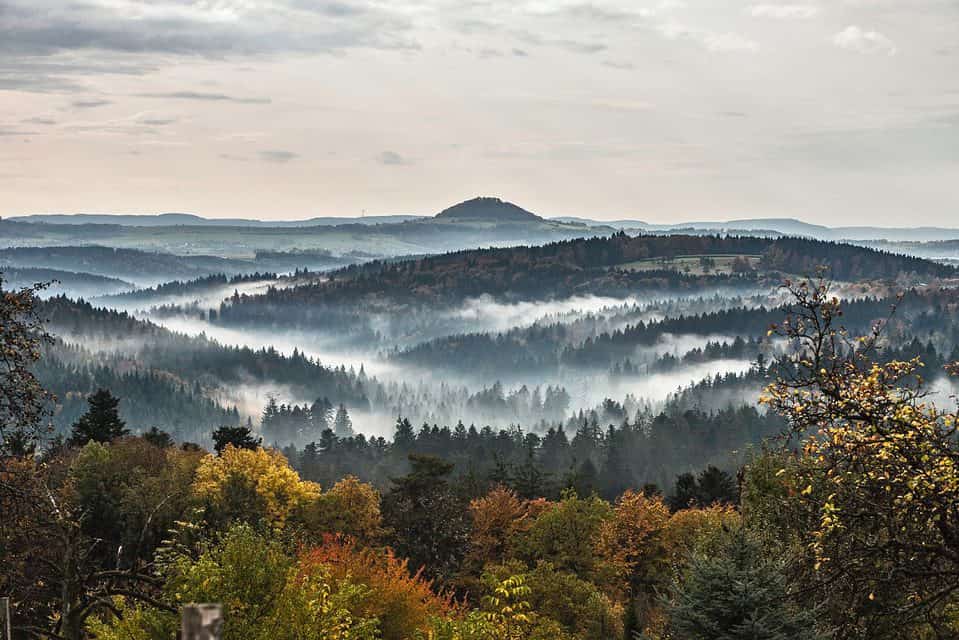 the black forest